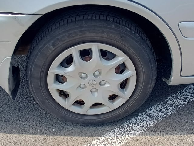 31.jpg