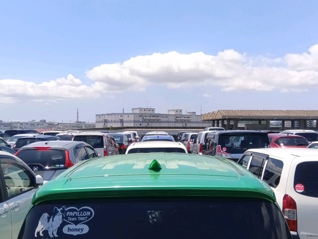 284.jpg
