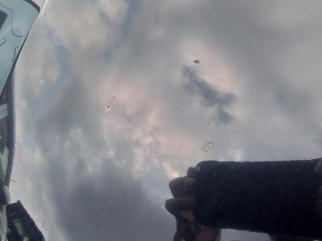 289.jpg