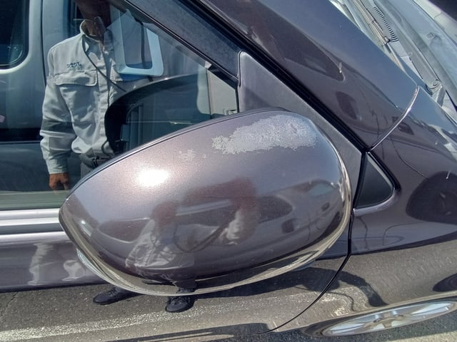 285.jpg