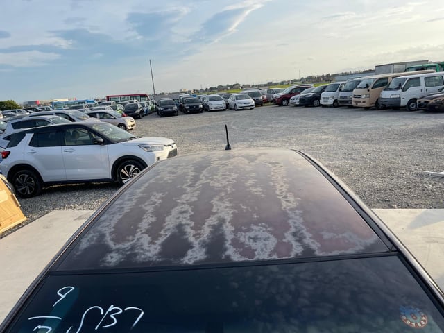 280.jpg