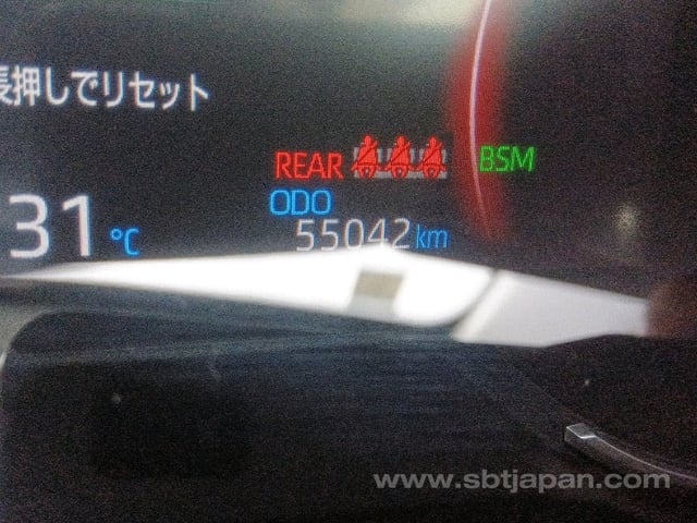 41.jpg