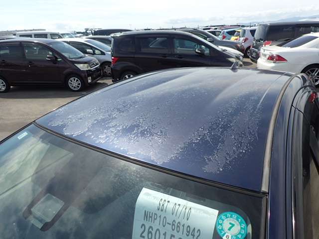 281.jpg
