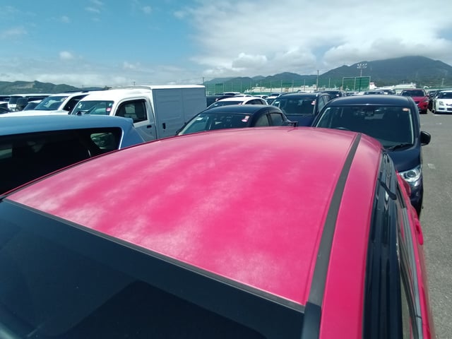 281.jpg