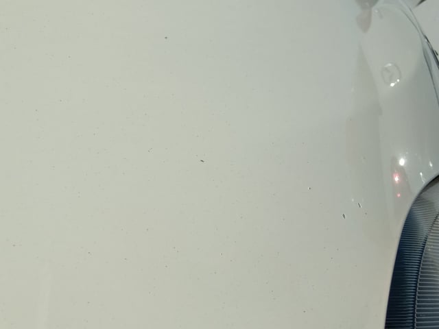 282.jpg