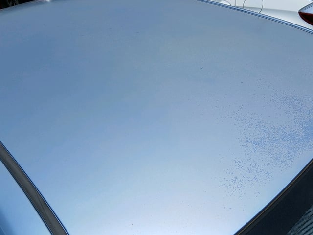 290.jpg