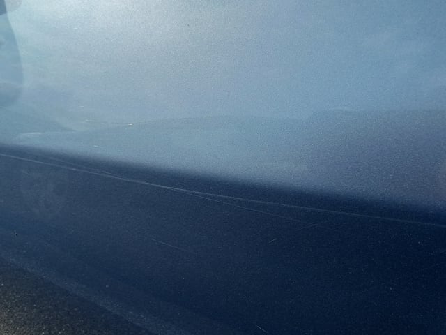 283.jpg
