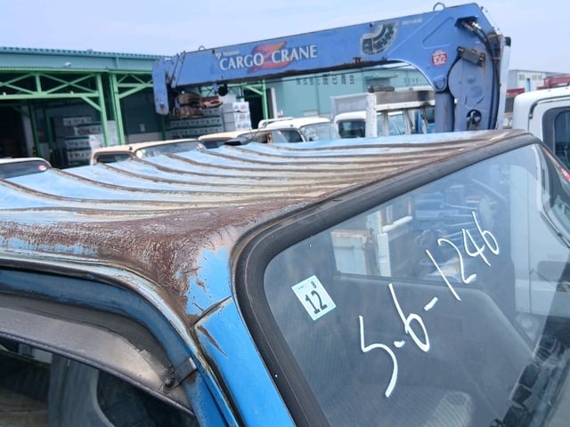 290.jpg