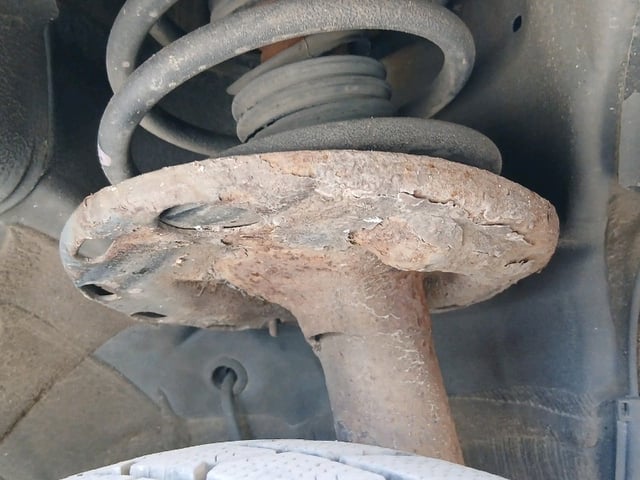 290.jpg