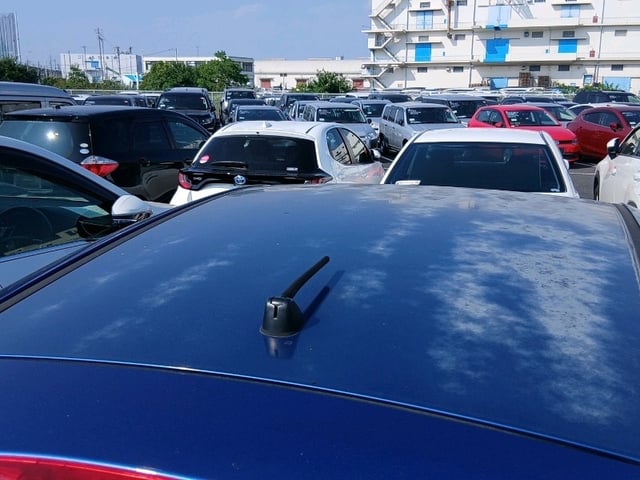 281.jpg