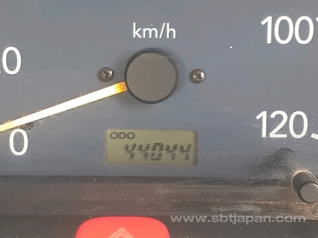 29.jpg