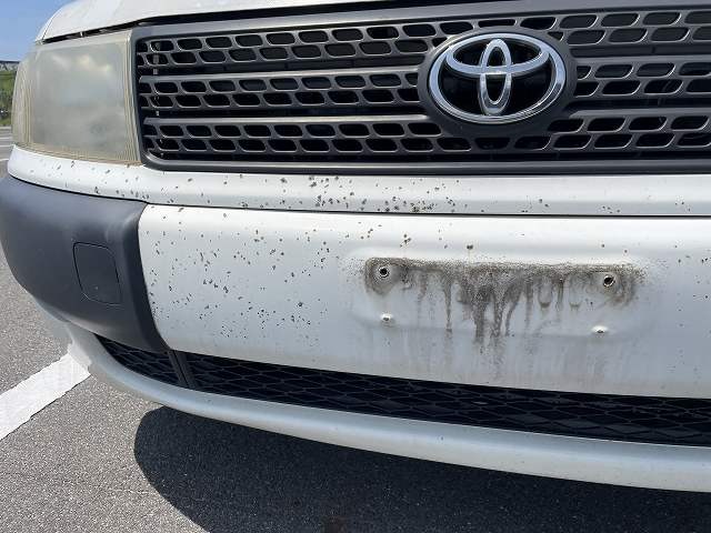 280.jpg