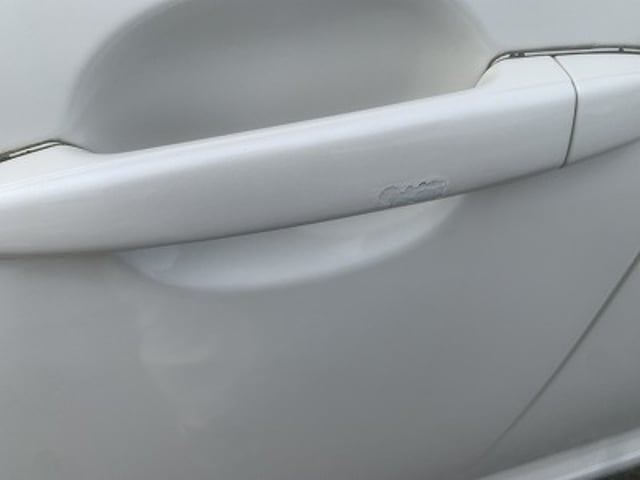 291.jpg