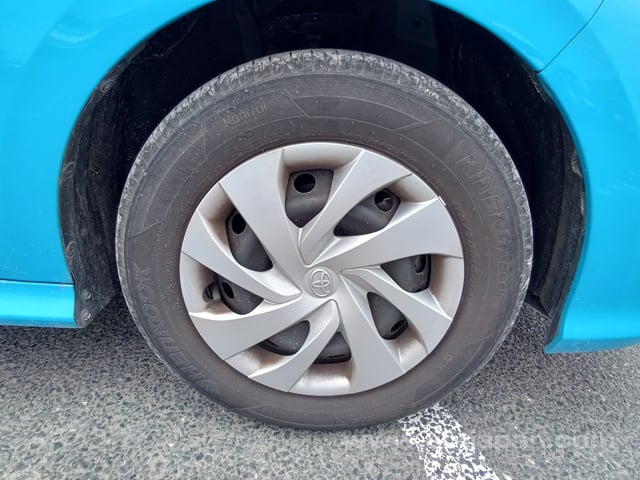 29.jpg