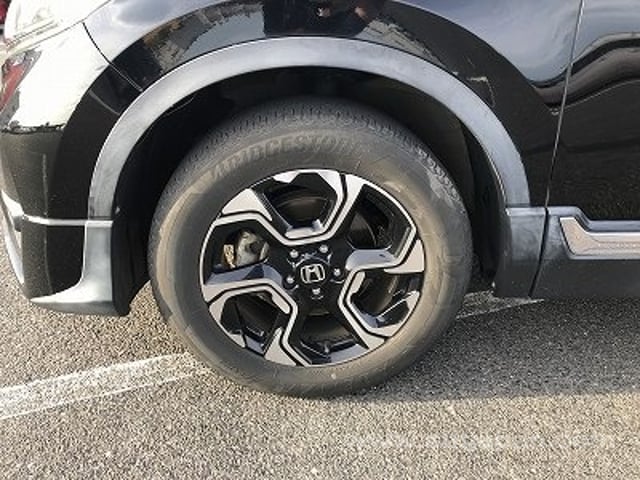 31.jpg