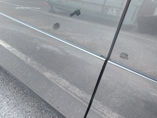 280.jpg