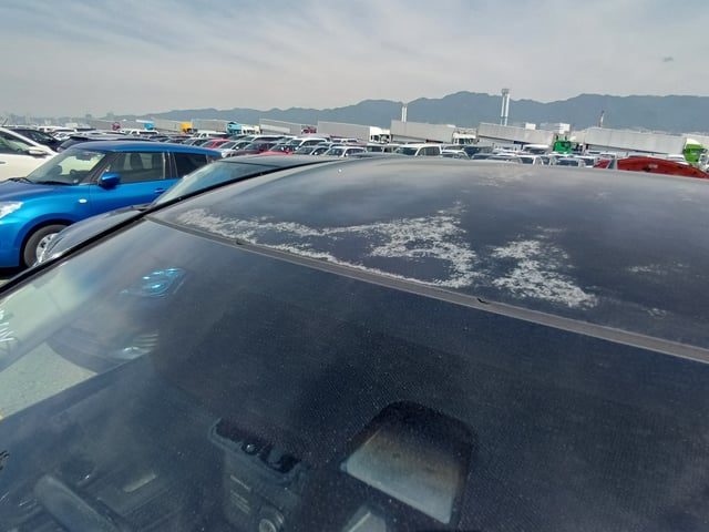 281.jpg
