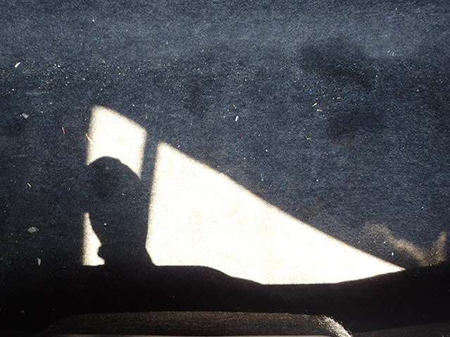 289.jpg