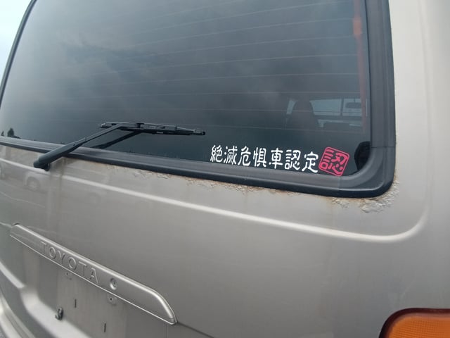 284.jpg