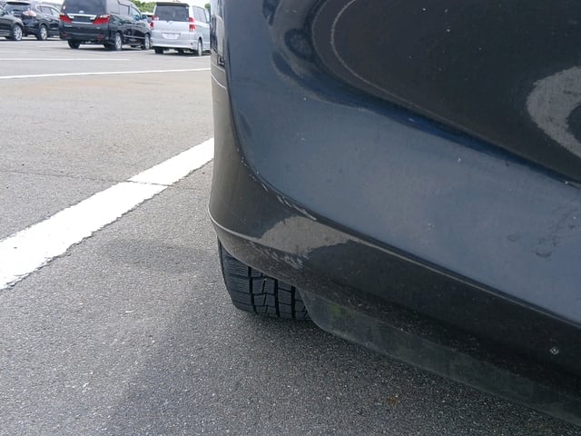 281.jpg