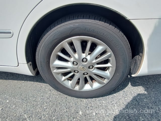28.jpg