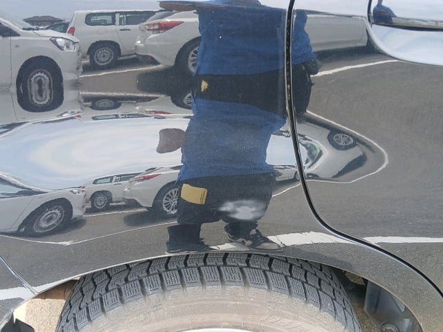 281.jpg