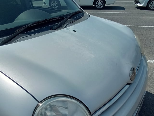 280.jpg