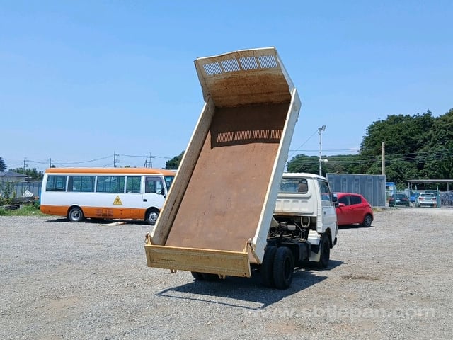 41.jpg