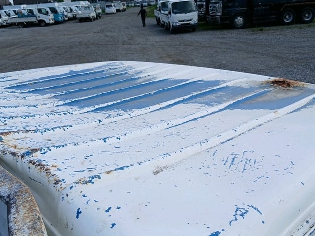 281.jpg