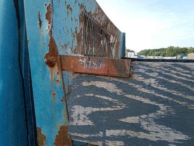299.jpg