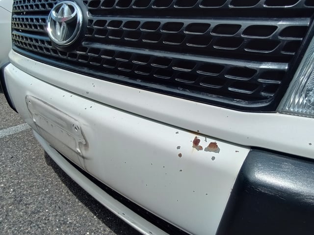 283.jpg