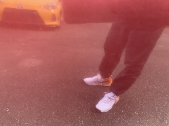 281.jpg