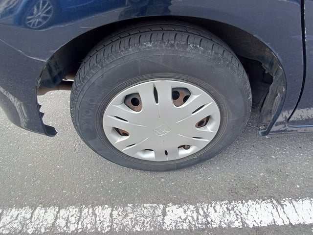 31.jpg