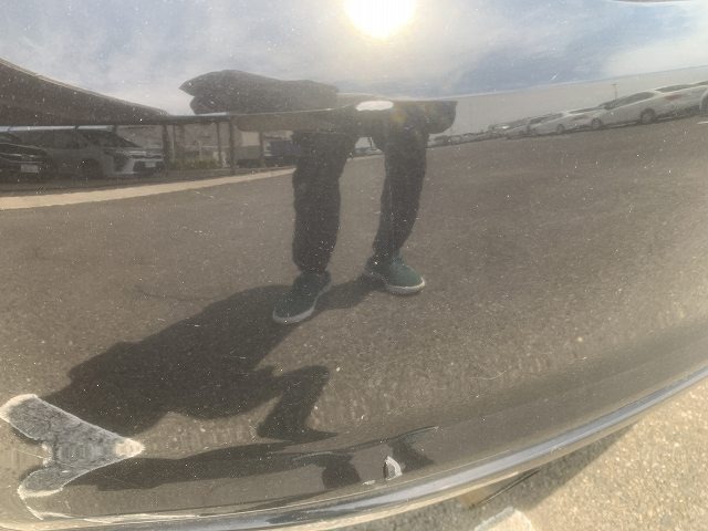 281.jpg