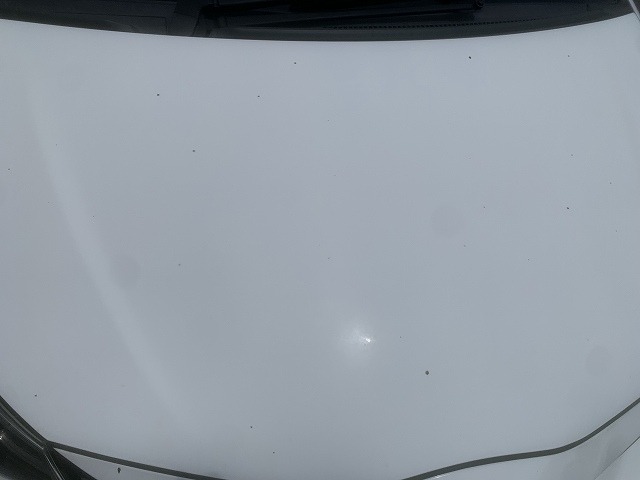 280.jpg