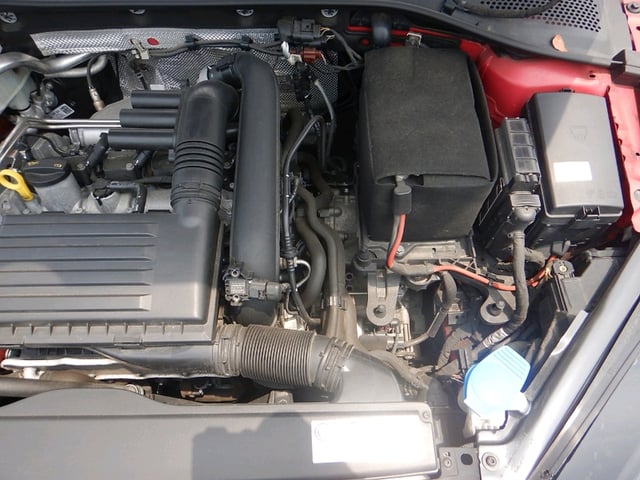 289.jpg