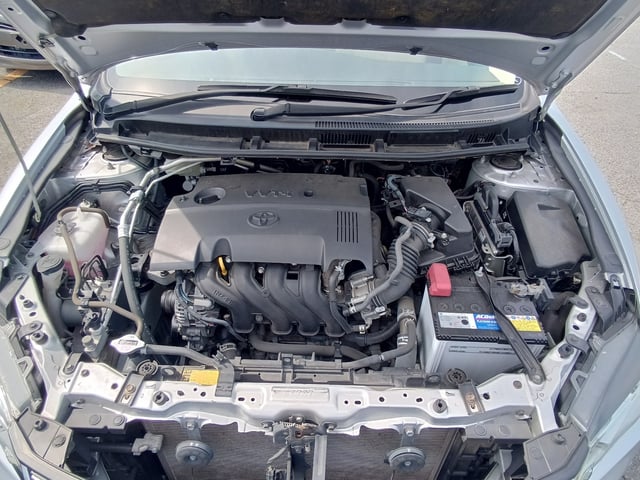 280.jpg