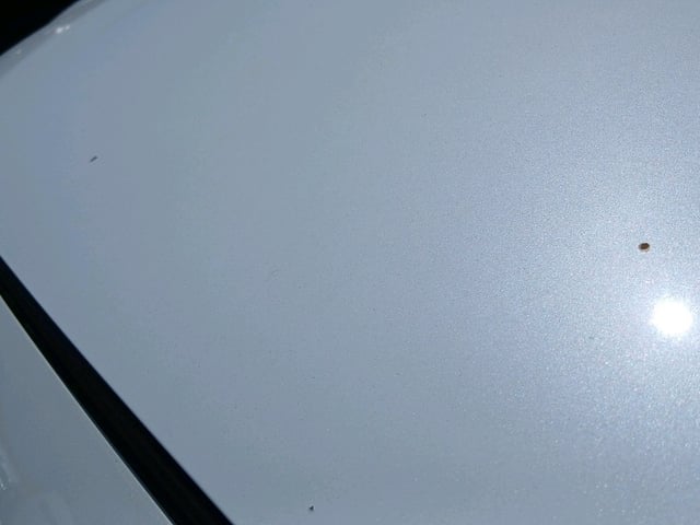 281.jpg