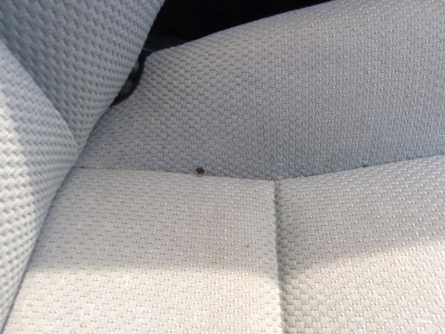 280.jpg