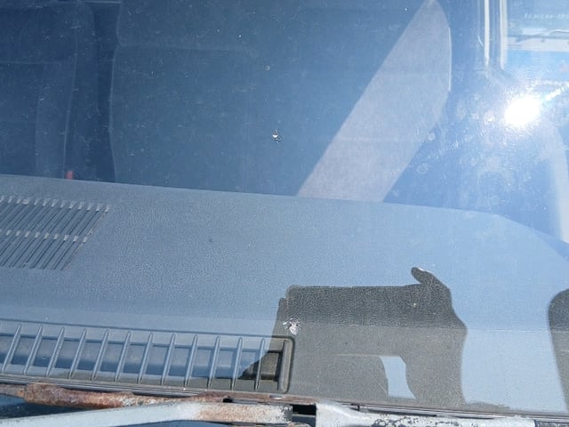 286.jpg
