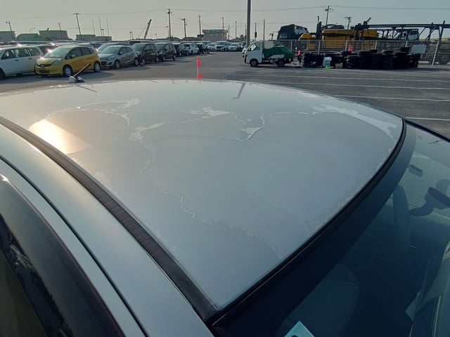 280.jpg
