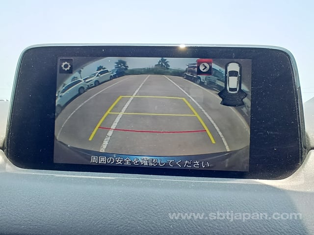 13.jpg