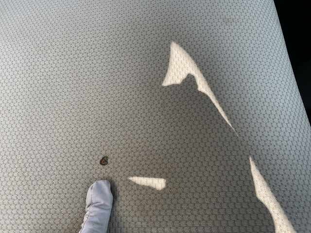 280.jpg