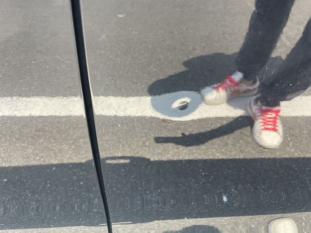 282.jpg