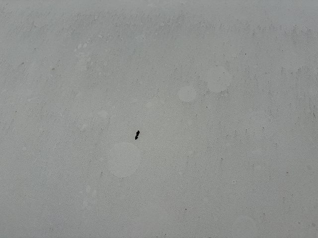 280.jpg