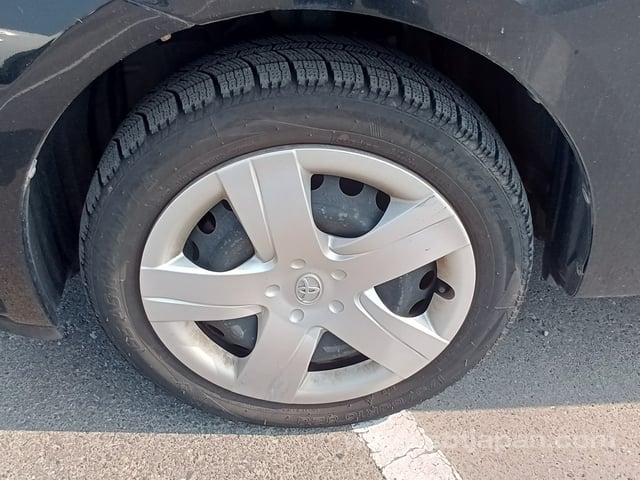 29.jpg