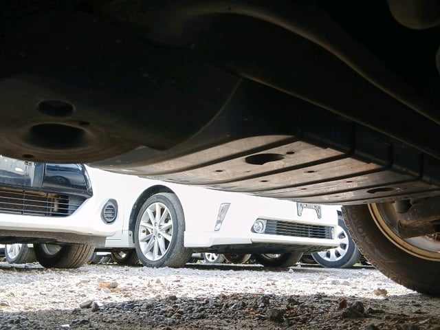 293.jpg