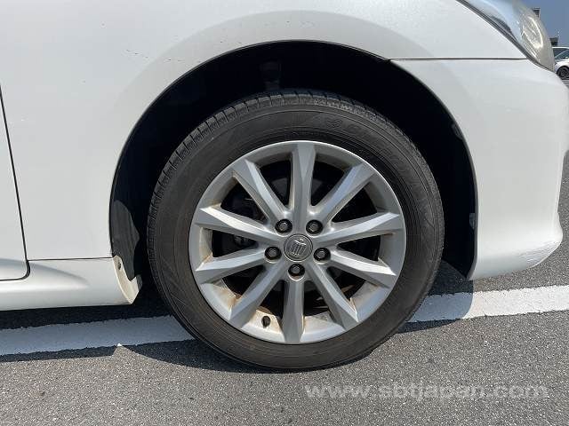 29.jpg