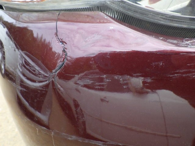 290.jpg