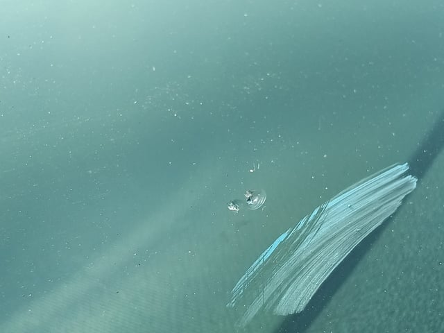 280.jpg